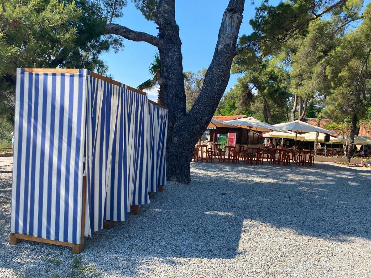 Apartments Villa Viktoria ティヴァト エクステリア 写真