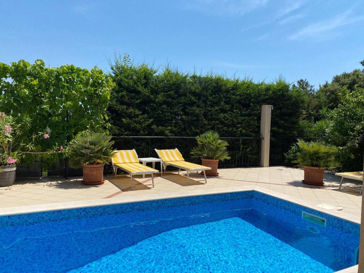 Apartments Villa Viktoria ティヴァト エクステリア 写真